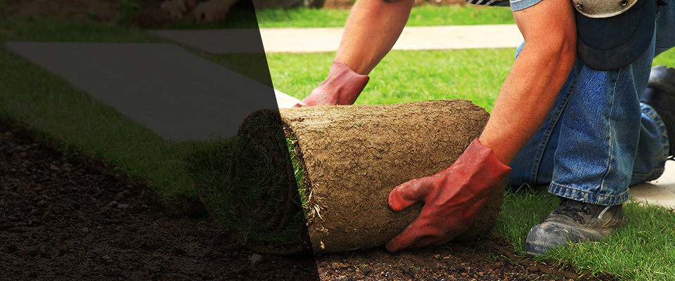 Kokomo Landscapers